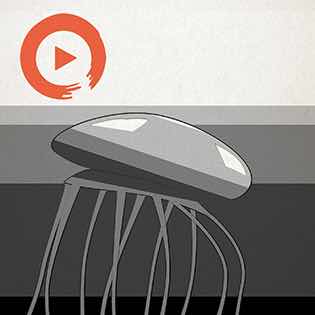 Music to Satisfy Your Inner Jellyfish Playlist cover art